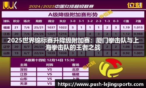 2025世界锦标赛升降级附加赛：厦门拳击队与上海拳击队的王者之战